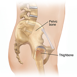 Side view of male body showing spine and hip.