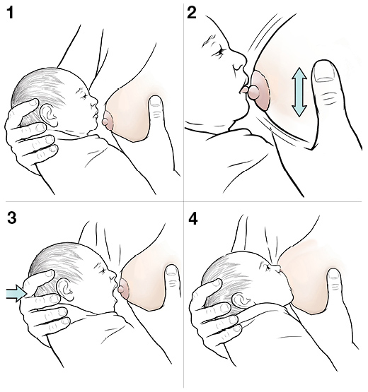 4 steps to help a baby latch on for breastfeeding